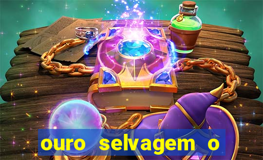 ouro selvagem o que aconteceu na vida